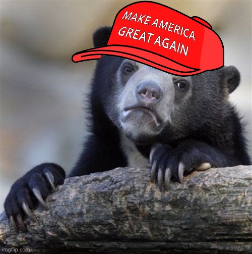 MAGA confession bear HD Blank Meme Template