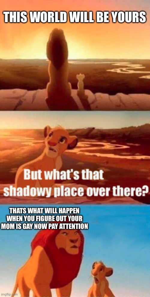 Hold up | THIS WORLD WILL BE YOURS; THATS WHAT WILL HAPPEN WHEN YOU FIGURE OUT YOUR MOM IS GAY NOW PAY ATTENTION | image tagged in memes,simba shadowy place | made w/ Imgflip meme maker