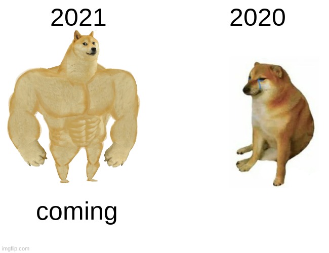 Buff Doge vs. Cheems | 2021; 2020; coming | image tagged in memes,buff doge vs cheems | made w/ Imgflip meme maker