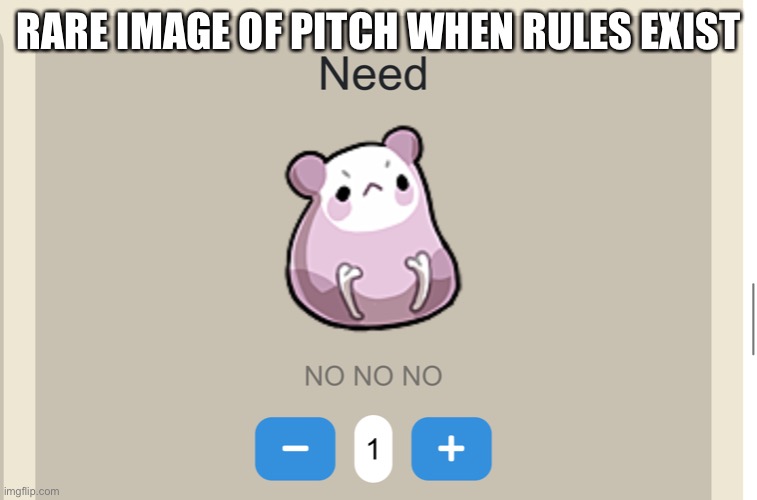 NO NO NO | RARE IMAGE OF PITCH WHEN RULES EXIST | image tagged in need no no no | made w/ Imgflip meme maker