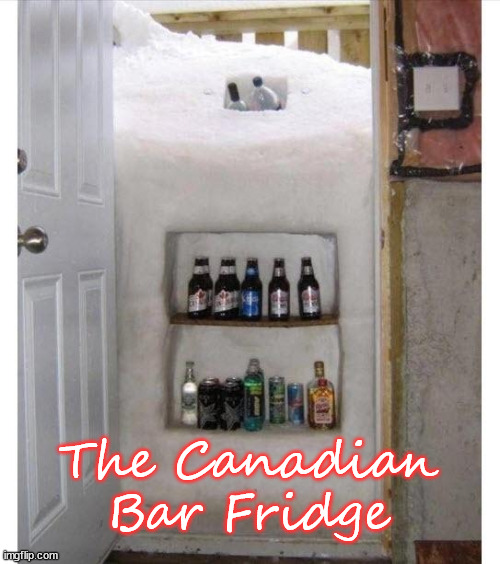 The Canadian Bar Fridge | image tagged in funny | made w/ Imgflip meme maker