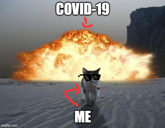cat explosion | COVID-19; ME | image tagged in cat explosion,coronavirus | made w/ Imgflip meme maker