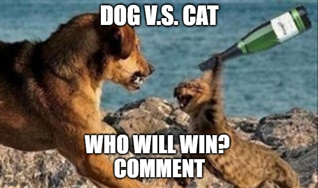 cat vs. dog | DOG V.S. CAT; WHO WILL WIN? 
COMMENT | image tagged in cat vs dog | made w/ Imgflip meme maker