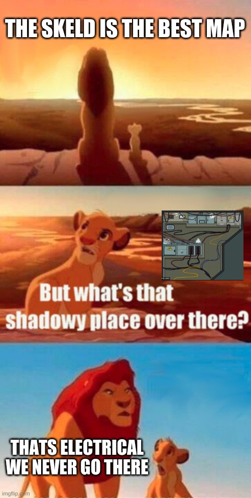 Simba Shadowy Place |  THE SKELD IS THE BEST MAP; THATS ELECTRICAL WE NEVER GO THERE | image tagged in memes,simba shadowy place | made w/ Imgflip meme maker