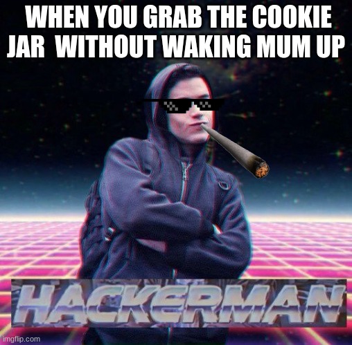 HackerMan | WHEN YOU GRAB THE COOKIE JAR  WITHOUT WAKING MUM UP | image tagged in hackerman | made w/ Imgflip meme maker