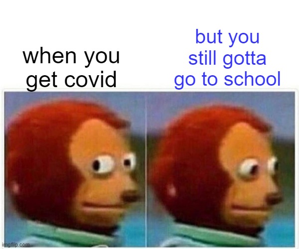 Monkey Puppet Meme | but you still gotta go to school; when you get covid | image tagged in memes,monkey puppet | made w/ Imgflip meme maker