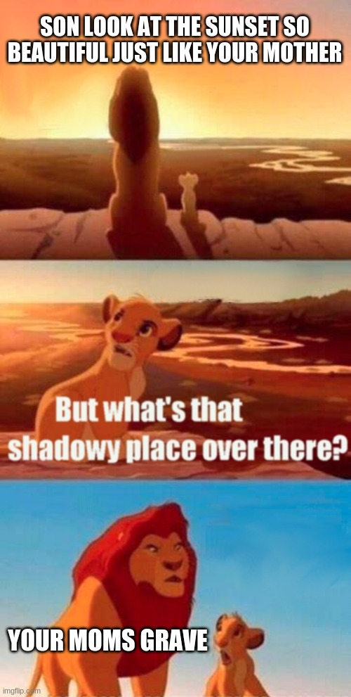 Simba Shadowy Place Meme | SON LOOK AT THE SUNSET SO BEAUTIFUL JUST LIKE YOUR MOTHER; YOUR MOMS GRAVE | image tagged in memes,simba shadowy place | made w/ Imgflip meme maker