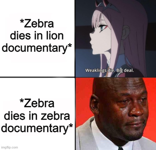 Different documentary, different perspective | *Zebra dies in lion documentary*; *Zebra dies in zebra documentary* | image tagged in memes,funny,zebra,lion,documentary | made w/ Imgflip meme maker