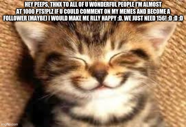 Plz help :D | HEY PEEPS, THNX TO ALL OF U WONDERFUL PEOPLE I'M ALMOST AT 1000 PTS!PLZ IF U COULD COMMENT ON MY MEMES AND BECOME A FOLLOWER (MAYBE) I WOULD MAKE ME RLLY HAPPY :D. WE JUST NEED 156! :D :D :D | image tagged in happy cat | made w/ Imgflip meme maker