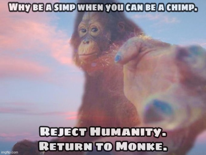 image tagged in chimp not a simp,humaty rejected,kill me | made w/ Imgflip meme maker