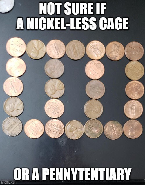 Pennys For Your Thoughts | NOT SURE IF A NICKEL-LESS CAGE; OR A PENNYTENTIARY | image tagged in penny,nickel,pun,meme,funny | made w/ Imgflip meme maker