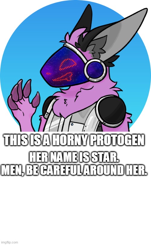 THIS IS A HORNY PROTOGEN; HER NAME IS STAR. MEN, BE CAREFUL AROUND HER. | image tagged in blank white template | made w/ Imgflip meme maker