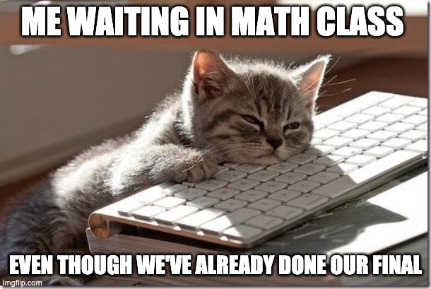 I'm boreddddddddd | ME WAITING IN MATH CLASS; EVEN THOUGH WE'VE ALREADY DONE OUR FINAL | image tagged in bored keyboard cat | made w/ Imgflip meme maker