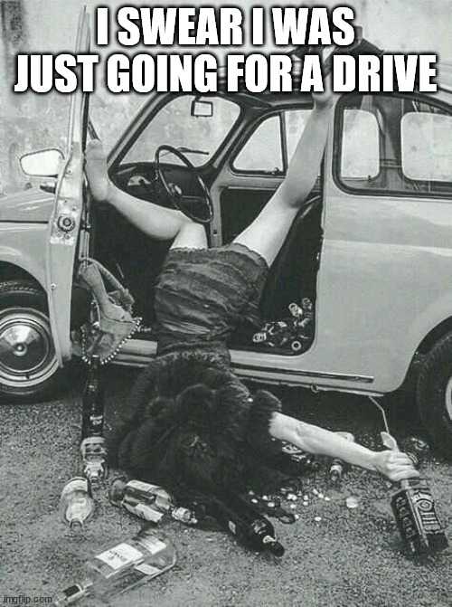 Drunk Girl  | I SWEAR I WAS JUST GOING FOR A DRIVE | image tagged in drunk girl | made w/ Imgflip meme maker