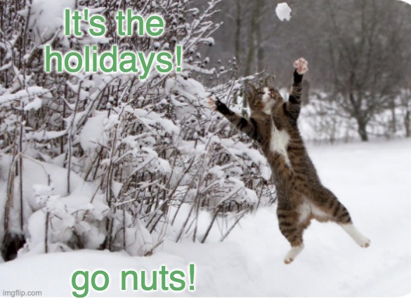 Merry Catmas | It's the holidays! go nuts! | image tagged in cat crazy in snow,cat,crazy,snow,winter,holidays | made w/ Imgflip meme maker