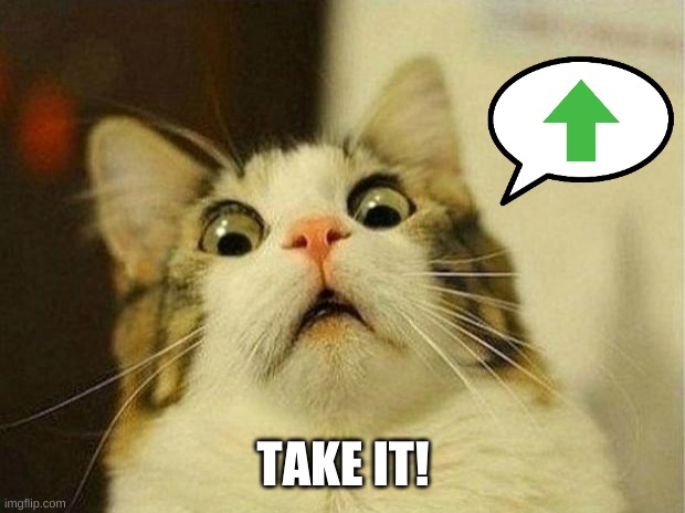 Scared Cat Meme | TAKE IT! | image tagged in memes,scared cat | made w/ Imgflip meme maker