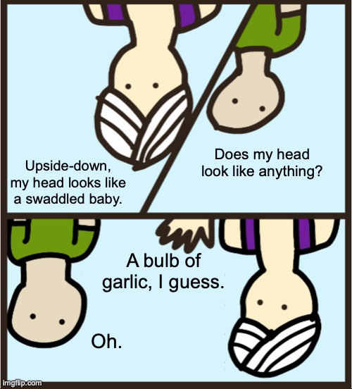 Give Me a Circus | Does my head look like anything? Upside-down, my head looks like a swaddled baby. A bulb of garlic, I guess. Oh. | image tagged in memes,genie rules meme,upside-down,meme,just because | made w/ Imgflip meme maker