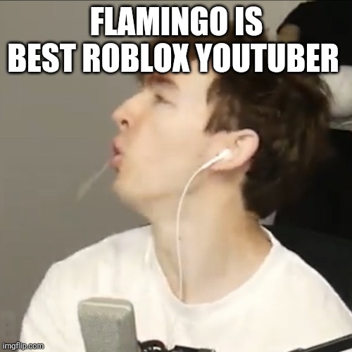 Flamingo | FLAMINGO IS BEST ROBLOX YOUTUBER | image tagged in flamingo | made w/ Imgflip meme maker