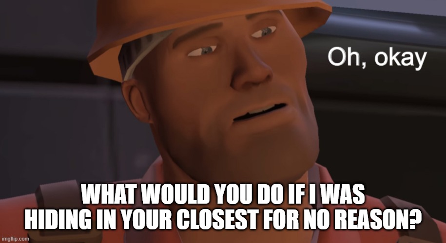 Oh, okay | WHAT WOULD YOU DO IF I WAS HIDING IN YOUR CLOSEST FOR NO REASON? | image tagged in oh okay | made w/ Imgflip meme maker