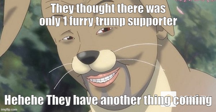 Weird anime hentai furry | They thought there was only 1 furry trump supporter; Hehehe They have another thing coming | image tagged in weird anime hentai furry | made w/ Imgflip meme maker