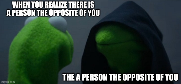 Evil Kermit Meme | WHEN YOU REALIZE THERE IS A PERSON THE OPPOSITE OF YOU; THE A PERSON THE OPPOSITE OF YOU | image tagged in memes,evil kermit | made w/ Imgflip meme maker