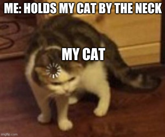 Loading cat | ME: HOLDS MY CAT BY THE NECK; MY CAT | image tagged in loading cat | made w/ Imgflip meme maker
