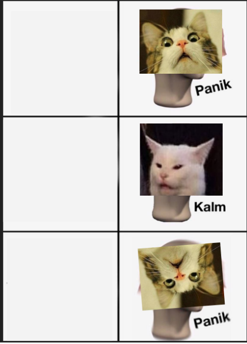 High Quality Cat Panik Cat Kalm Cat Panik Blank Meme Template