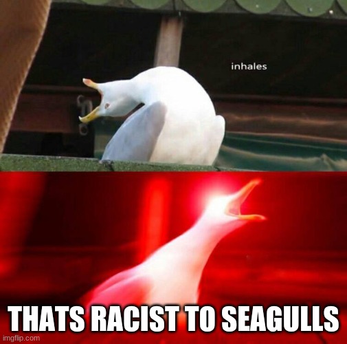 Inhaling Seagull  | THATS RACIST TO SEAGULLS | image tagged in inhaling seagull | made w/ Imgflip meme maker