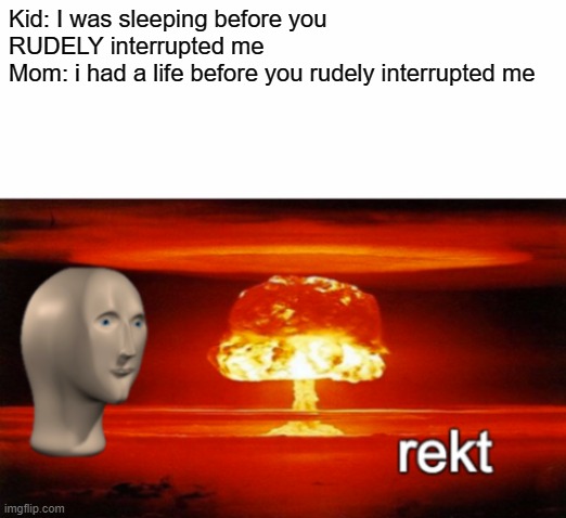OMG this is one of my favorite roasts. | Kid: I was sleeping before you RUDELY interrupted me
Mom: i had a life before you rudely interrupted me | image tagged in rekt w/text,this is great,omg | made w/ Imgflip meme maker