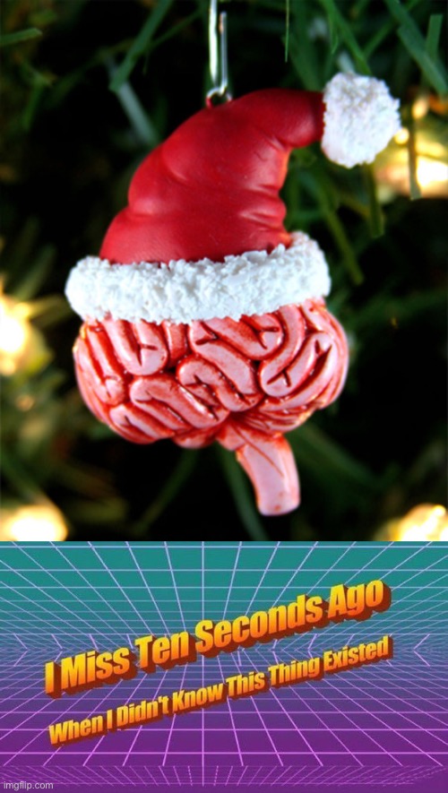 This is a weird decoration... | image tagged in i miss ten seconds ago,memes,funny,christmas decorations,wtf,brain | made w/ Imgflip meme maker