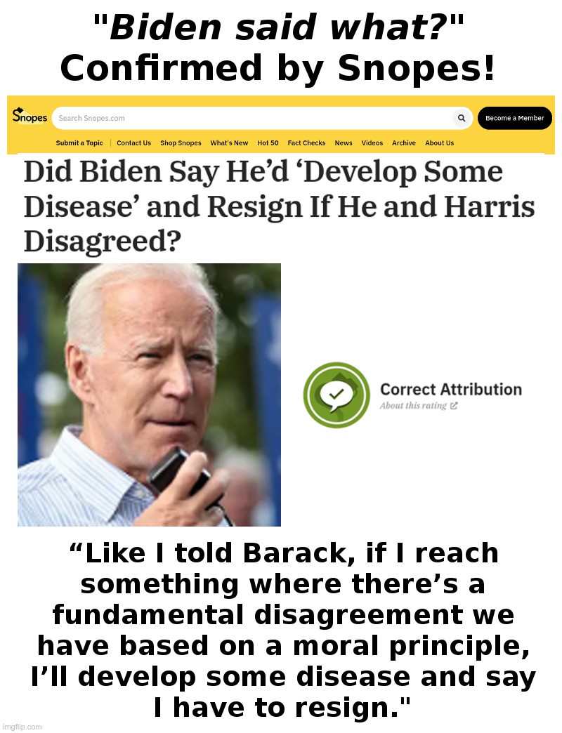 Biden Said What? | image tagged in joe biden,kamala harris,dementia,snopes | made w/ Imgflip meme maker