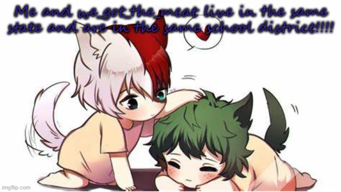 We found each other!!! uwu | Me and we_got_the_meat live in the same state and are in the same school district!!!! | image tagged in deku and shoto | made w/ Imgflip meme maker