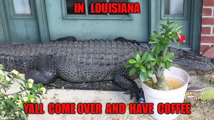 IN   LOUISIANA; YALL  COME OVER  AND  HAVE  COFFEE | image tagged in louisiana | made w/ Imgflip meme maker