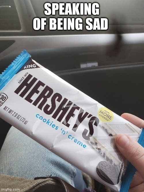 SPEAKING OF BEING SAD | made w/ Imgflip meme maker