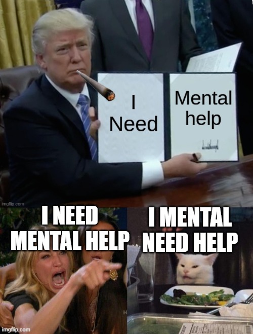 lol | I MENTAL NEED HELP; I NEED MENTAL HELP | image tagged in woman screaming at cat | made w/ Imgflip meme maker