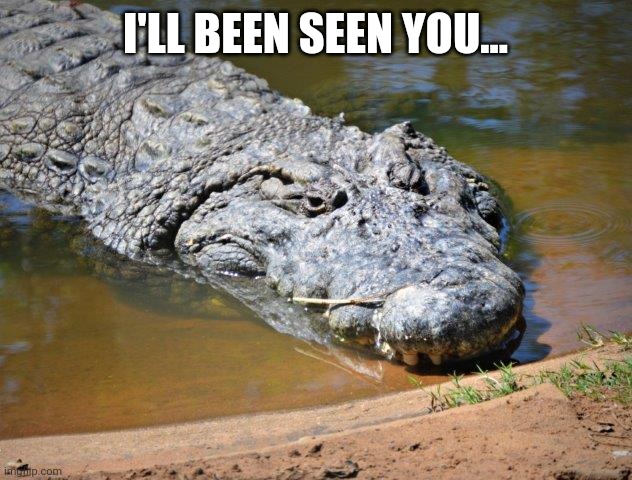 Crocodile | I'LL BEEN SEEN YOU... | image tagged in crocodile | made w/ Imgflip meme maker