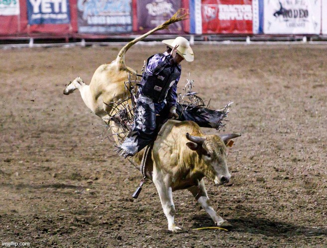 The all known; Bull riding | made w/ Imgflip meme maker