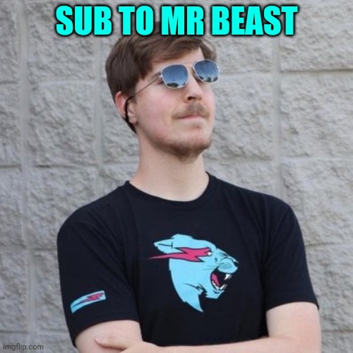 Yes I know random | SUB TO MR BEAST | image tagged in mr beast | made w/ Imgflip meme maker