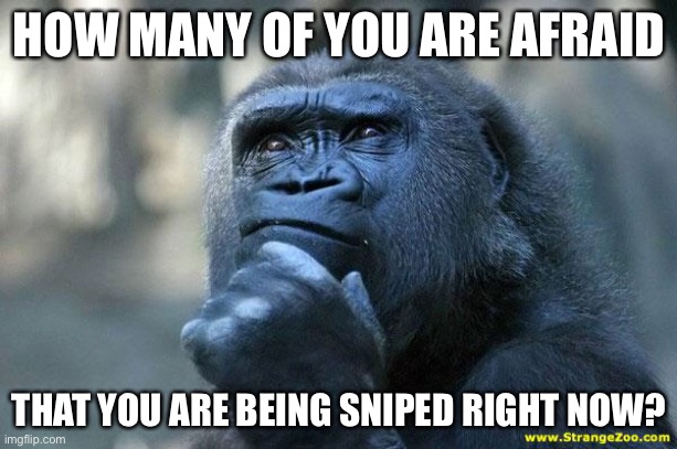 Weird question | HOW MANY OF YOU ARE AFRAID; THAT YOU ARE BEING SNIPED RIGHT NOW? | image tagged in deep thoughts | made w/ Imgflip meme maker