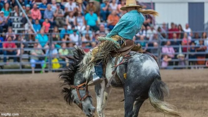 Don't mind me, just in my rodeo vibe- | made w/ Imgflip meme maker