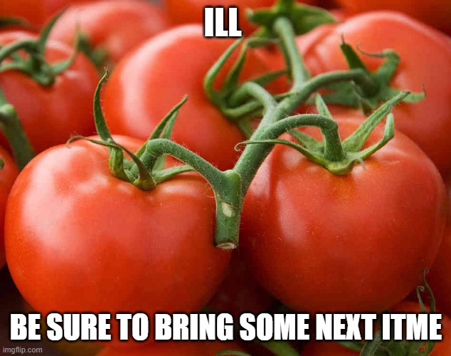 Tomato | ILL BE SURE TO BRING SOME NEXT ITME | image tagged in tomato | made w/ Imgflip meme maker