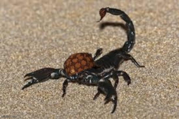 Scumbag Scorpion | image tagged in scumbag scorpion | made w/ Imgflip meme maker
