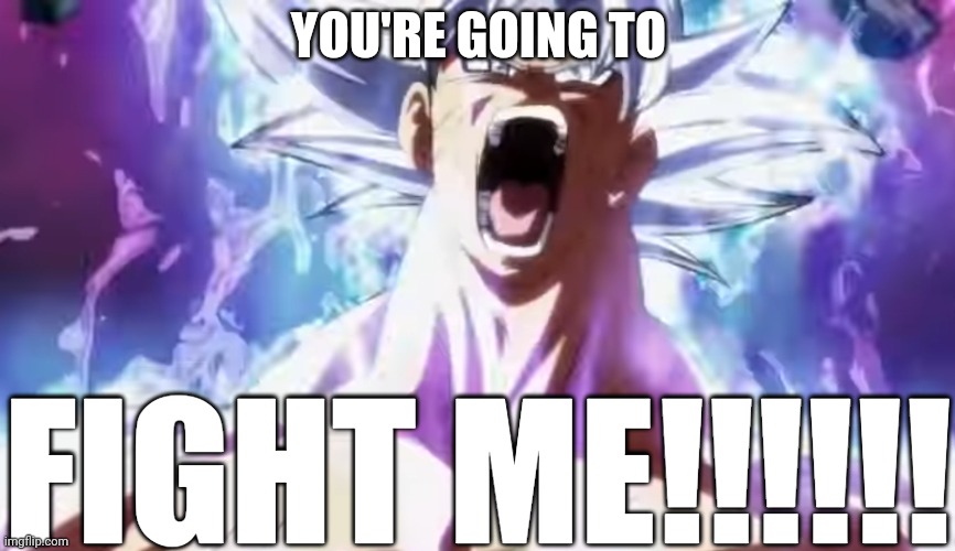 Pissed Off Goku | YOU'RE GOING TO; FIGHT ME!!!!!! | image tagged in pissed off goku | made w/ Imgflip meme maker