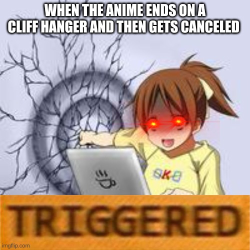 Anime wall punch | WHEN THE ANIME ENDS ON A CLIFF HANGER AND THEN GETS CANCELED | image tagged in anime wall punch | made w/ Imgflip meme maker