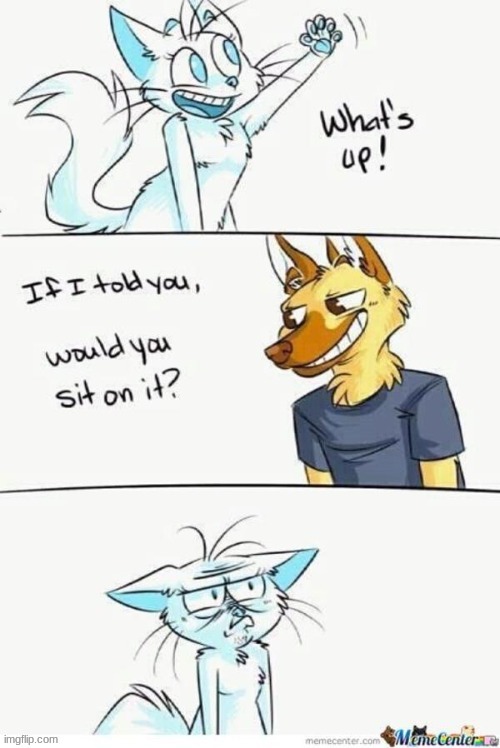 The wonderful Crap I find on the furries stream. | made w/ Imgflip meme maker