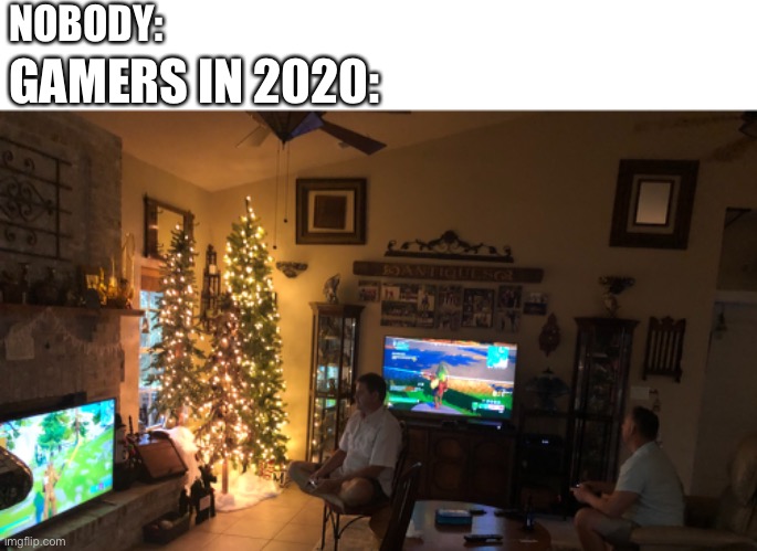 NOBODY:; GAMERS IN 2020: | image tagged in gamers | made w/ Imgflip meme maker
