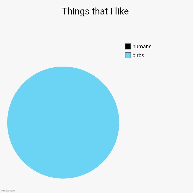 birbs are nice | Things that I like | birbs, humans | image tagged in charts,pie charts | made w/ Imgflip chart maker