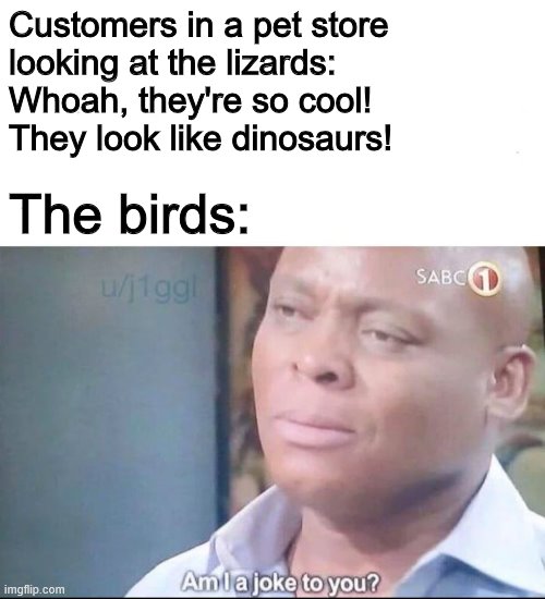 Evolution Is A Joke | Customers in a pet store 
looking at the lizards:
Whoah, they're so cool! 
They look like dinosaurs! The birds: | image tagged in am i a joke to you,birb,lizard,dinosaur,bird,memes | made w/ Imgflip meme maker