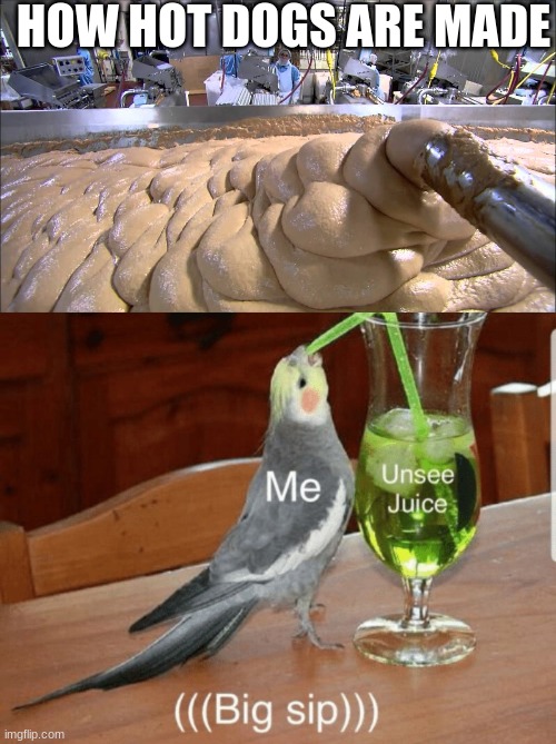 HOW HOT DOGS ARE MADE | image tagged in unsee juice | made w/ Imgflip meme maker
