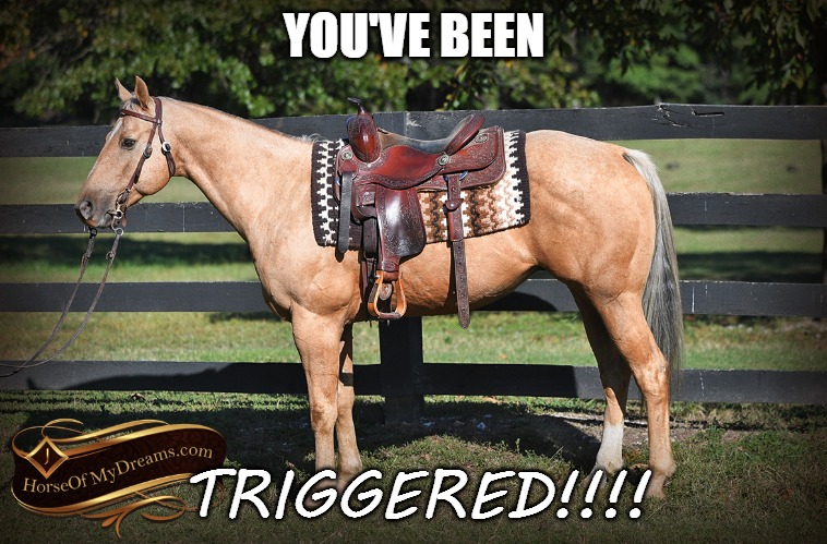 Triggered!!!! | YOU'VE BEEN; TRIGGERED!!!! | image tagged in triggered,liberal triggered,liberals | made w/ Imgflip meme maker